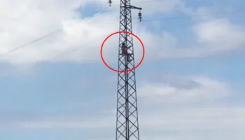 “Dy muaj pa rroga”/ Punonjësja e larguar nga puna kërcënon se do të hidhet nga shtylla