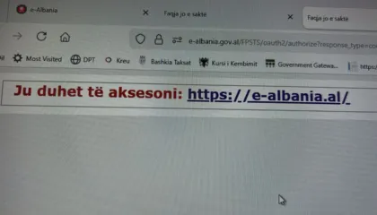 E-Albania, makthi pa fund, bizneset sërish nuk aksesojnë SelfCare