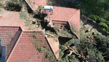 E frikshme/ Shihni si e ka dëmtuar qiparisi i rrëzuar këtë shtëpi në Delvinë