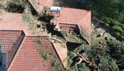 E frikshme/ Shihni si e ka dëmtuar qiparisi i rrëzuar këtë shtëpi në Delvinë