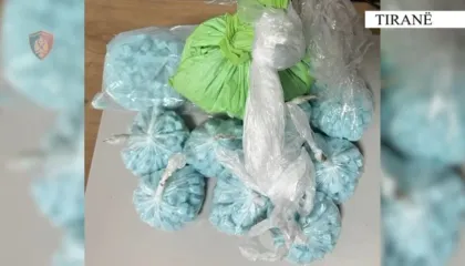 E kthyen banesën në laborator droge, dy të afërmit kapen me mbi 2 mijë tableta ekstazi