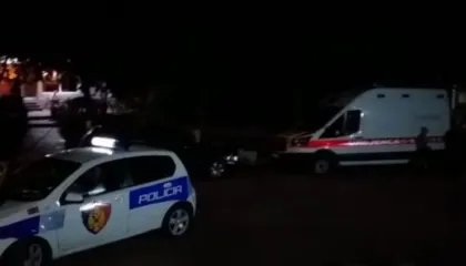 E rëndë, humb jetën gruaja në Belsh pasi kafshohet nga qeni