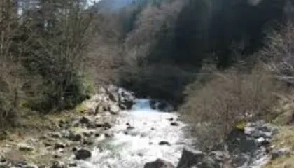 E rëndë në Delvinë, i moshuari rrëzohet aksidentalisht në përrua dhe humb jetën