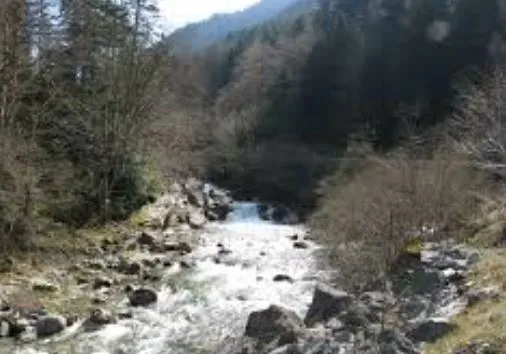 E rëndë në Delvinë, i moshuari rrëzohet aksidentalisht në përrua dhe humb jetën