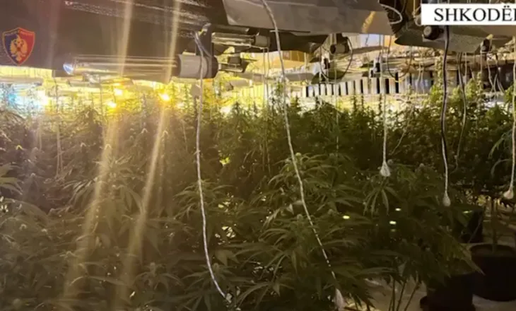 EMRAT/ Zbulohet tuneli ku kultivohej kanabis, 3 të arrestuar në Shkodër