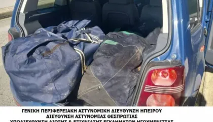 EMRI/ U kap me drogë në Igumenicë, identifikohet delvinjoti