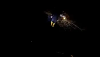 Era e fortë rrëzon pishën gjatë natës në Vlorë, përplaset një automjet nga bllokimi i rrugës