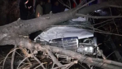 Era rrëzon pemën mbi makinë, dëmtohet drejtuesi i mjetit në Peshkopi