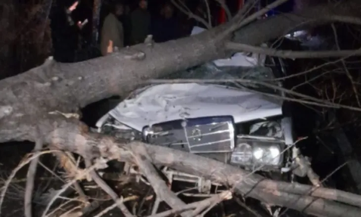 Era rrëzon pemën mbi makinë, dëmtohet drejtuesi i mjetit në Peshkopi