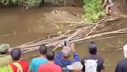 Fatale në Indonezi/ Krokodili 4 metra i merr jetën 35-vjeçares, banorët nxjerrin trupin nga nofullat e tij (VIDEO)