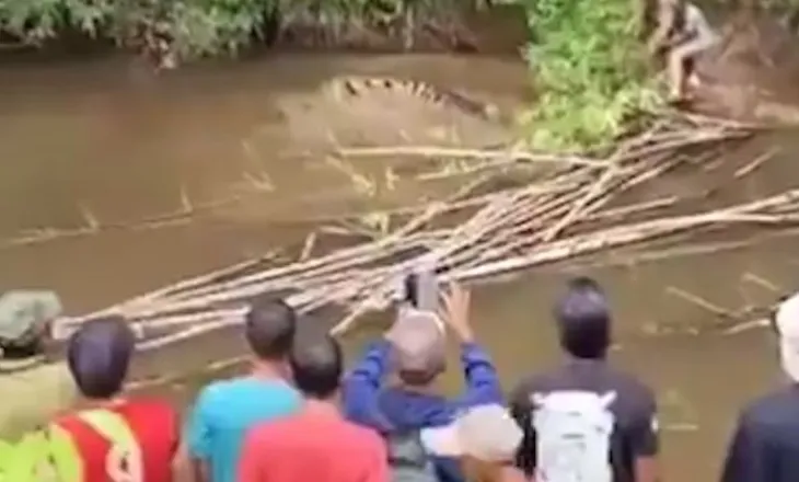 Fatale në Indonezi/ Krokodili 4 metra i merr jetën 35-vjeçares, banorët nxjerrin trupin nga nofullat e tij (VIDEO)