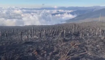 Fenomeni që po alarmon shkencëtarët. “El nino” dhe “La nina” pritet të godasë Tokën