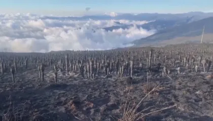 Fenomeni që po alarmon shkencëtarët. “El nino” dhe “La nina” pritet të godasë Tokën