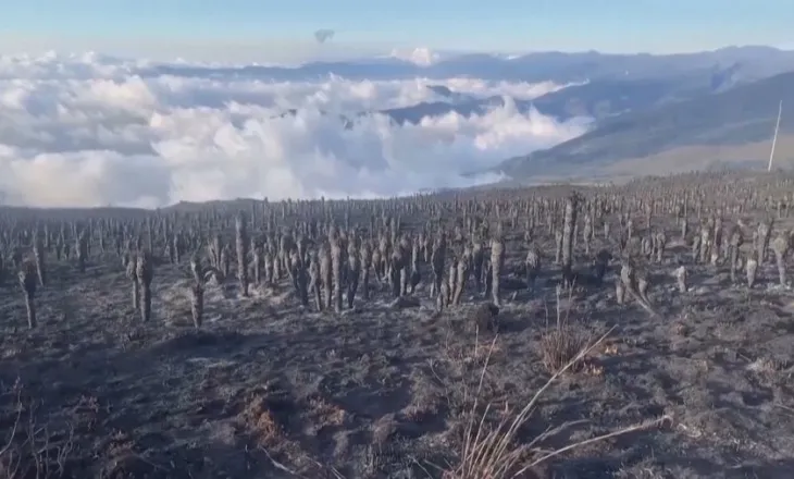 Fenomeni që po alarmon shkencëtarët. “El nino” dhe “La nina” pritet të godasë Tokën