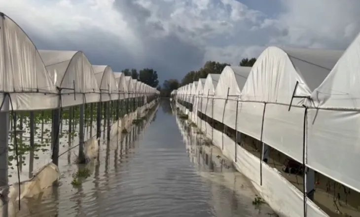 Fermerët e Goriçanit përmbyten për të katërtën herë