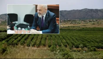 Fermeri nga Elbasani: Investova mbi 19 dynym sera, por çmimet nuk mbulojnë as shpenzimet