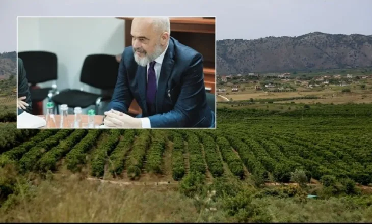 Fermeri nga Elbasani: Investova mbi 19 dynym sera, por çmimet nuk mbulojnë as shpenzimet