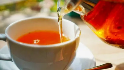 Forcojnë imunitetin dhe luftojnë astmën, çajrat më të mirë bimorë që duhet të pini