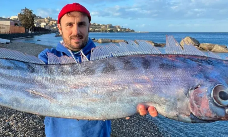 Foto/ Një peshk i rrallë nxirret nga ujërat në një plazh në Siçili, kjo specie jeton në thellësinë nga 200 deri në 1.000 metra