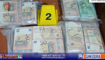 FOTO+EMRI – Arrestohet 19 vjeçari nga Shkodra, iu gjetën në banesë 164 mijë euro të dyshuara false dhe municion