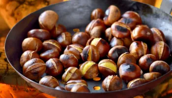 Fshati i gështenjave, burimi kryesor i të ardhurave/ Banorët: Mbajmë familjet me to