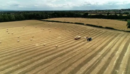 Garancia sovrane nuk funksionoi/ Kreditimi në bujqësi, ekspertët: Burokracitë dhe mungesa e informimit frenuan procesin