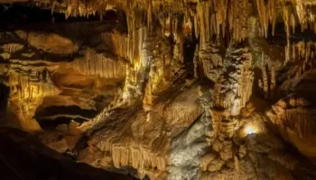 Gjenden mikrobe të paprekura për 11 milionë vjet në një shpellë në New Mexico, hapen skenarë të rinj për jetën jashtëtokësore!