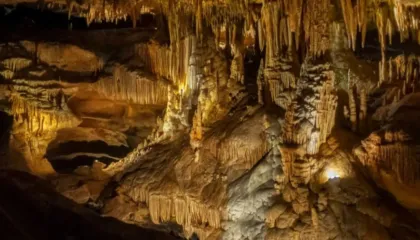 Gjenden mikrobe të paprekura për 11 milionë vjet në një shpellë në New Mexico, hapen skenarë të rinj për jetën jashtëtokësore!