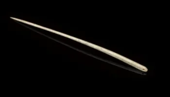 Gjilpëra 12 000-vjeçare hedh dritë mbi mbijetesën e njerëzve të Epokës së Akullit në Amerikën e Veriut