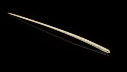 Gjilpëra 12 000-vjeçare hedh dritë mbi mbijetesën e njerëzve të Epokës së Akullit në Amerikën e Veriut