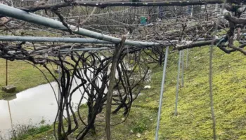 Gjirokastër, përmbytjet dhe erozioni dëmtojnë tokat bujqësore