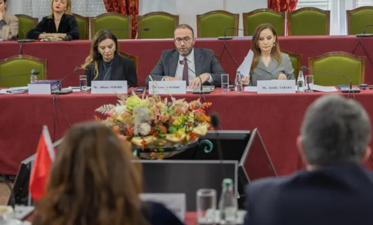 Grupi i PD ankohet te McAllister: Shqipëria regres në luftën kundër korrupsionit