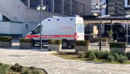 Humb jetën 4-vjeçari në Vlorë, dyshohet se i bëri reaksion mjalti