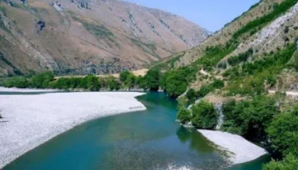 Humbet gjurmët bariu 65-vjeçar në Tepelenë, dyshohet se e ka marrë rrjedha e Vjosës (Emri)