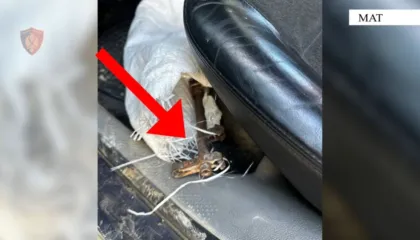 I dehur në timon dhe i armatosur, arrestohet 46-vjeçari në Mat