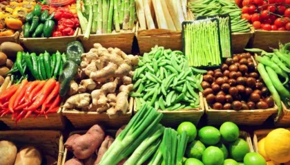 INSTAT: Përmbytjet përgjysmuan eksportet e zarzavateve në janar