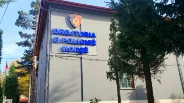 Ishin strehuar në një ndërtesë të braktisur, kapen 16 emigrantë të paligjshëm në Korçë