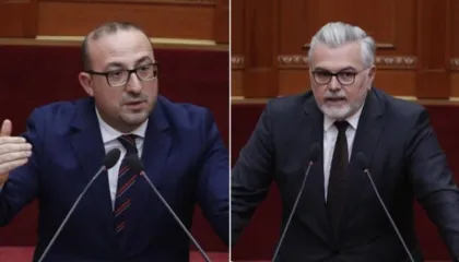 ”Jemi në Kuvend, mos fol me dialekt Myzeqar”, Gogu i kthehet deputetit të PD: Integrimi në BE jo klub barsaletash