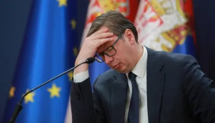 Kapen 5 tonë marijuanë në Serbi, reagon Vuçiç: Shteti nuk ka asnjë lidhje