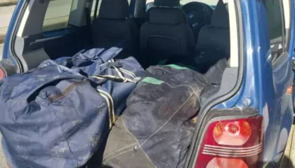 Kapen 75 kg kanabis në Igumenicë, arrestohet 54-vjeçari nga Shqipëria