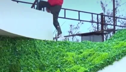 Kapërceu murin, Kristi largohet nga “BBVA”!