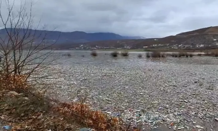 Katastrofë ekologjike në Liqenin e Fierzës, mbeturinat mbulojnë sipërfaqen, banorët: Situata po del jashtë kontrollit
