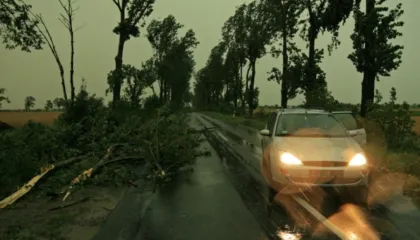 Katër persona humbin jetën në përmbytjet e shkaktuara nga stuhia Marta në veri të Marokut
