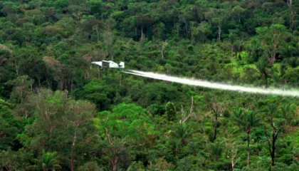 Kolumbia rifillon shkatërrimin e të mbjellave të kokainës duke përdorur glifosat