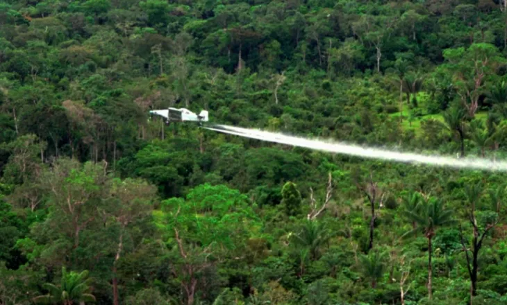 Kolumbia rifillon shkatërrimin e të mbjellave të kokainës duke përdorur glifosat