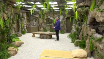 Komentet brutale për Stenaldon, Vëllai i Madh jep vendimin për Rogertin