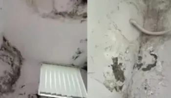 Korreshi denoncoi situatën, Ministria e Shëndetësisë: Spitali i Lushnjës vijon të ofrojë shërbime në kushte të sigurta