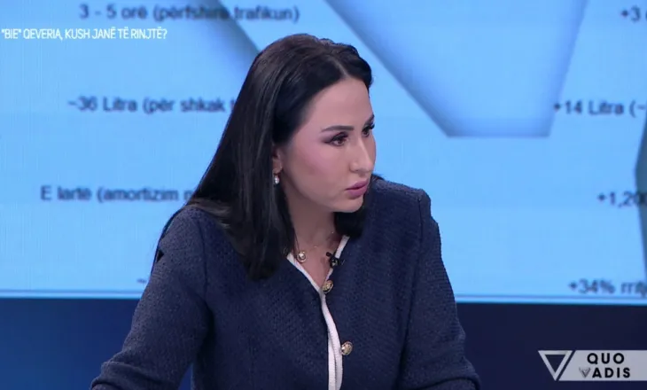 Kuçana zbardh detaje nga hetimet e SPAK: Ja çfarë shkruhet në faqen 61