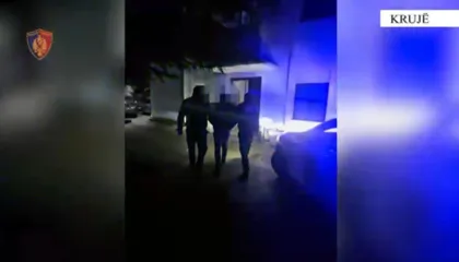 Kultivoi 136 bimë narkotike, kapet 39-vjeçari në Krujë