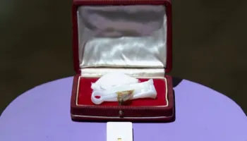 “Lakuriq”, si harta e shpirtit/ Ekspozita që eksploron trupin dhe frikën nga e ardhmja e dominuar nga Inteligjenca Artificiale